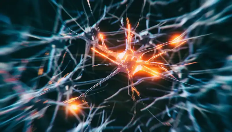 Alzheimer Vakalarındaki Artışın Arkasındaki Gizemli Nedenler