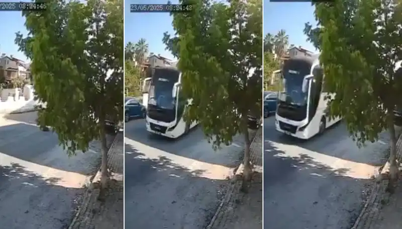 Yolda Yatan Köpeği Ezip Geçen Şoför, Hayvanseverlerin Tepkisini Çekti