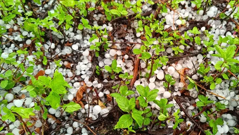 Temmuz Ortasında Yağmur Yerine Dolu: Hava Durumunda Beklenmedik Şok!