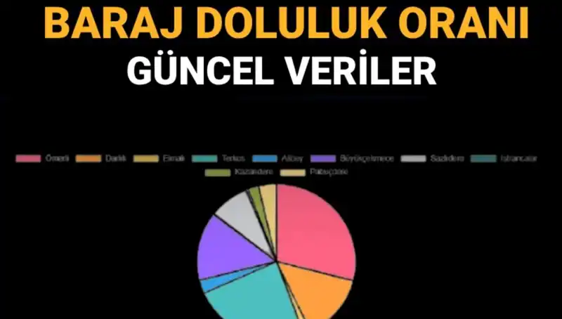 İstanbul'daki Baraj Doluluk Oranları: Güncel Verilerle Su Krizi Korkusu!