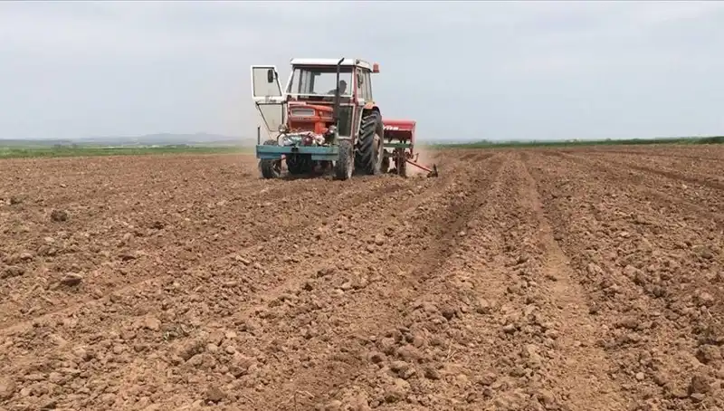 Son 35 Yılın En Kurak Mart Ayı Yaşandı: Su Krizi Kapıda mı?