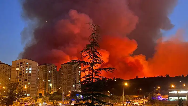 Bursa'da Yangınlar: Şehri Kucaklayan Alevler ve Halkın Tepkisi