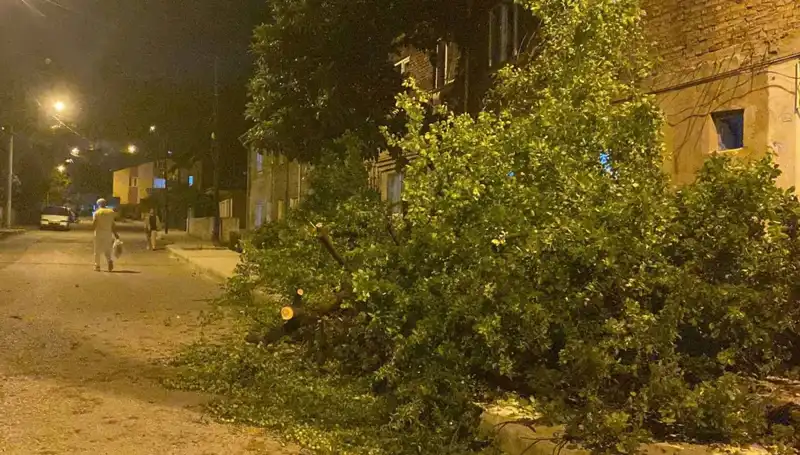 Karabük'te Şiddetli Fırtına Hayatı Olumsuz Etkiledi