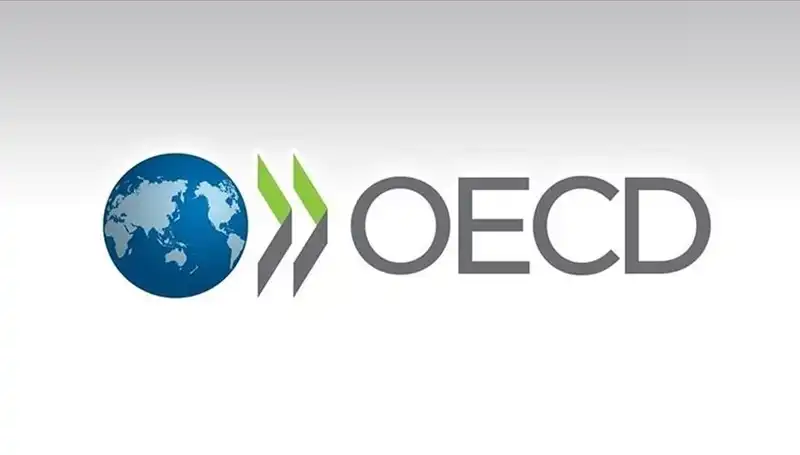 OECD, Türkiye'nin Ekonomik Büyüme Tahminini Güncelledi: Ne Beklemeli?