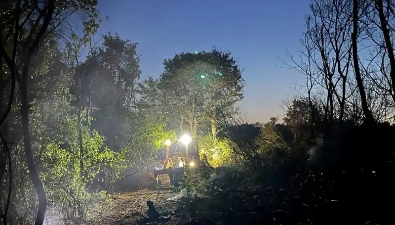 Edirne’de Korkutan Orman Yangını: Yangın Kontrol Altına Alındı
