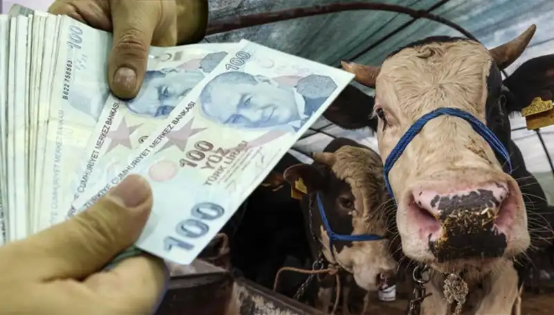 Kurban Bayramı Öncesi Maaşlar Yatacak mı? Merakla Beklenen Tarih Açıklandı!