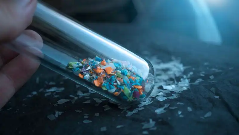 Mikroplastikler İnsan Beyninde: Bilim Dünyasını Şaşırtan Yeni Bulgular