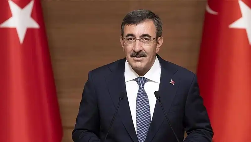 Cumhurbaşkanı Yardımcısı Yılmaz: Anti-semitizm Sorununu Avrupa'da Araştırın