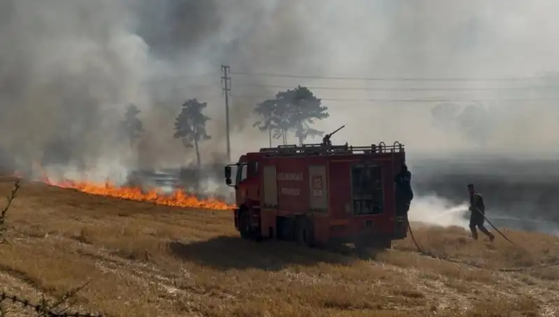 Kırklareli'nde Korkutan Anız Yangını: Vatandaşlar Yetişemedi