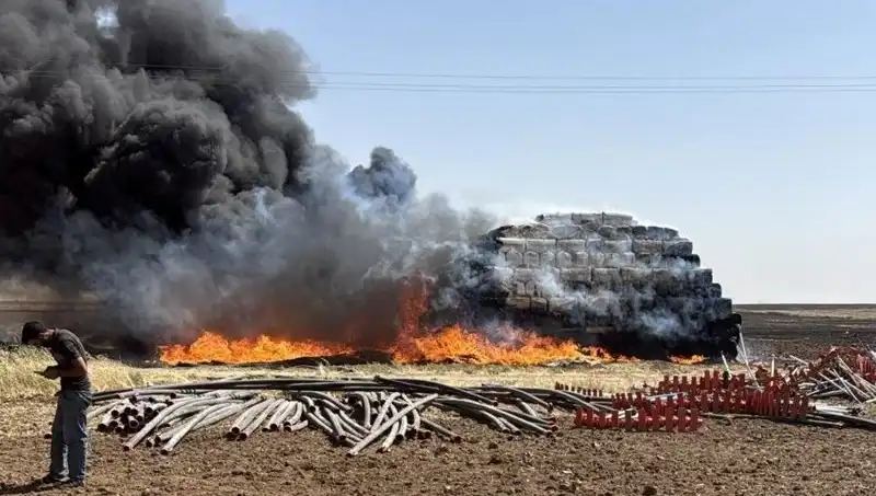 Mardin'de Anız Yangını: Tarımda Krize Yol Açabilecek Felaket