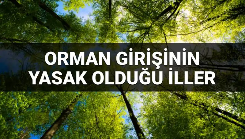 2025 Yılı İçin Hangi İllerde Ormana Girmek Yasak? İşte Liste!