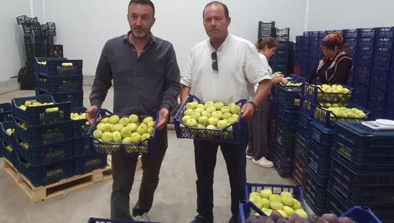 Mersinli Çiftçinin Yüzü Güldü: İhraç Edilen Ürünlerin Fiyatları Artıyor